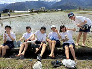 田植え (2)